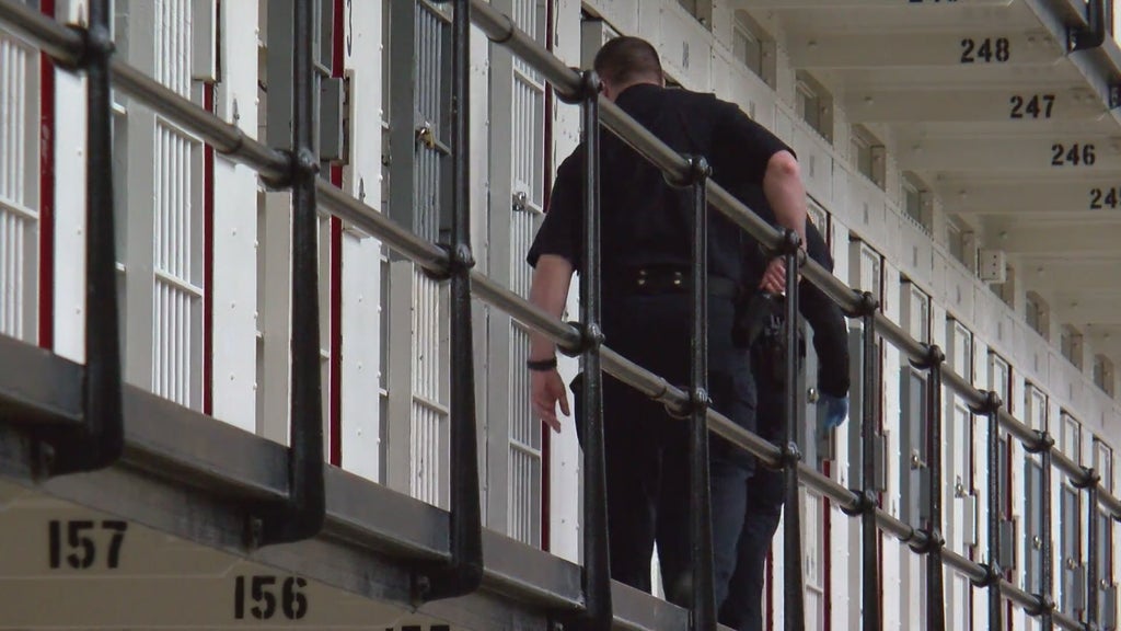 More than two dozen Georgia prisons on lockdown over security concerns following inmate fight — Vinings Health news